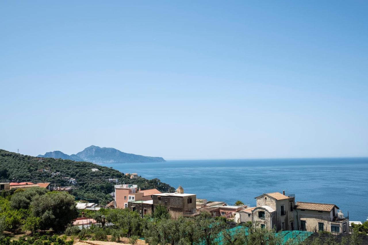 Neva Suites Massa Lubrense Sorrento Coast Экстерьер фото