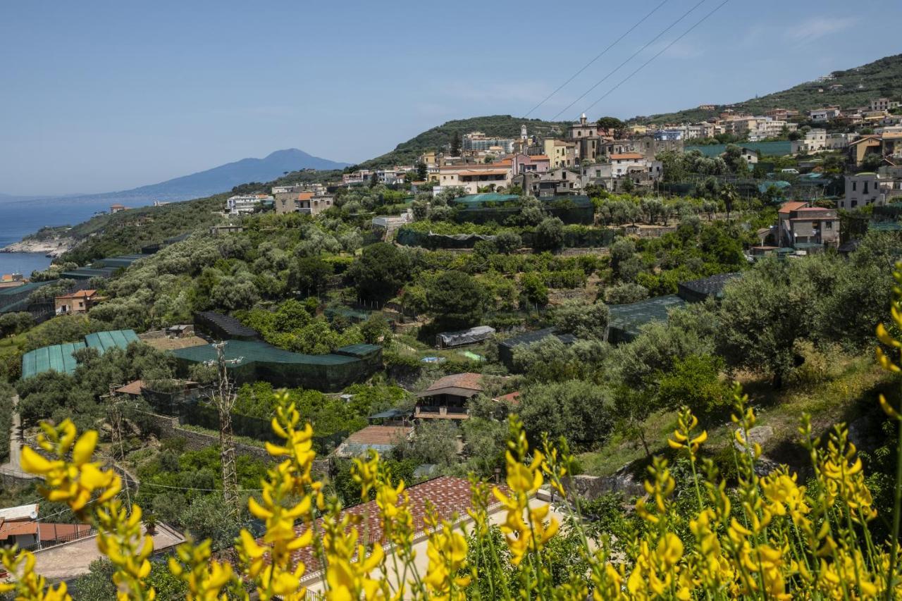 Neva Suites Massa Lubrense Sorrento Coast Экстерьер фото